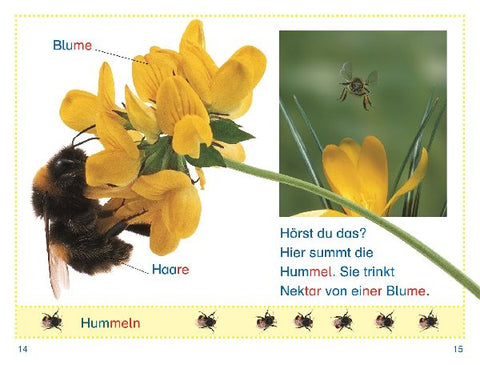 9783831046461 - Sample content