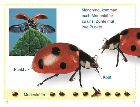 9783831046461 - Sample content