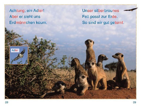 9783831046478 - Sample content