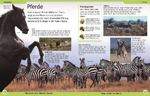 9783831046614 - Sample content