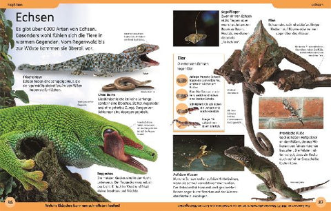 9783831046614 - Sample content