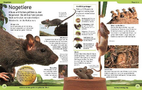 9783831046614 - Sample content