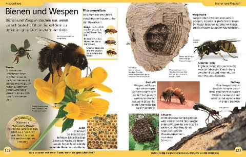 9783831046614 - Sample content