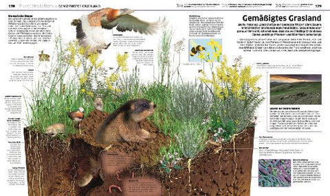 9783831046652 - Sample content