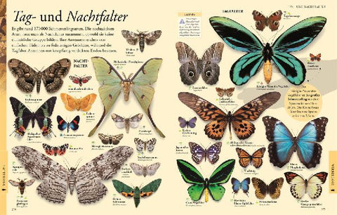 9783831046676 - Sample content