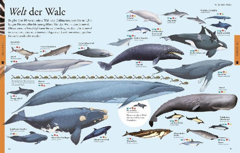 9783831046676 - Sample content