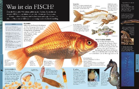 9783831046676 - Sample content