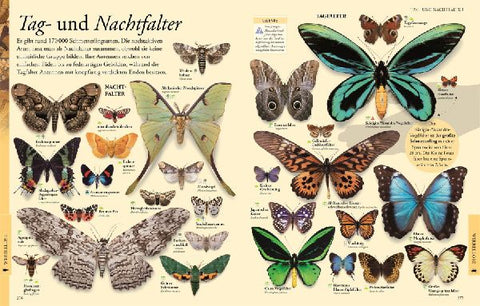 9783831046676 - Sample content