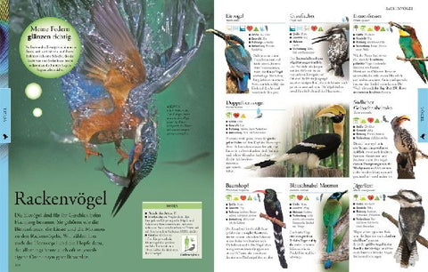 9783831046676 - Sample content