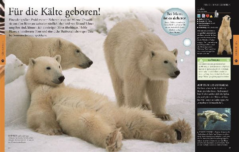 9783831046676 - Sample content