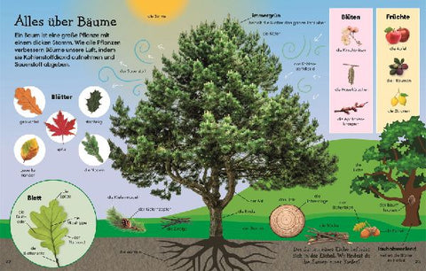 9783831046706 - Sample content