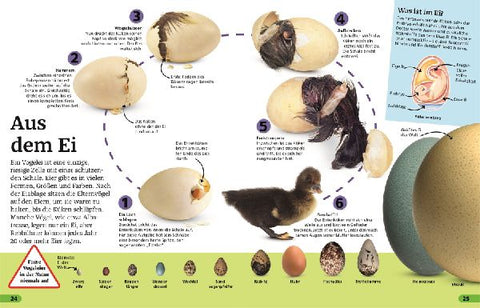 9783831046737 - Sample content