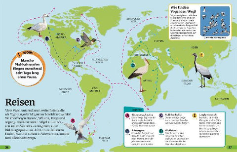 9783831046737 - Sample content