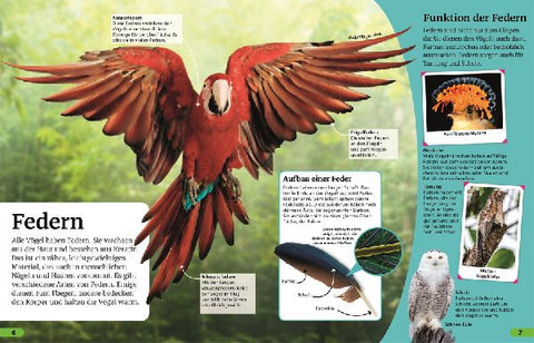 9783831046737 - Sample content