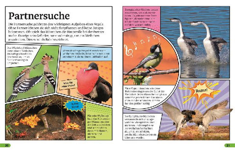 9783831046737 - Sample content