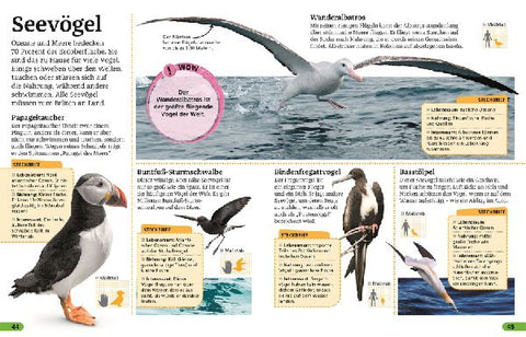 9783831046737 - Sample content