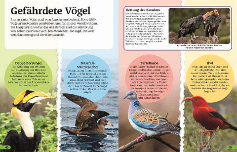 9783831046737 - Sample content