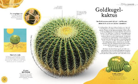 9783831046959 - Sample content