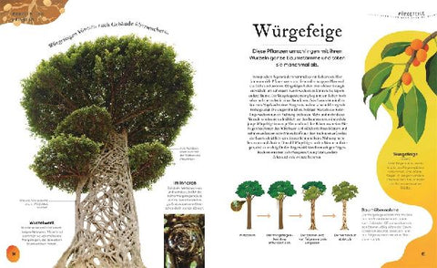 9783831046959 - Sample content