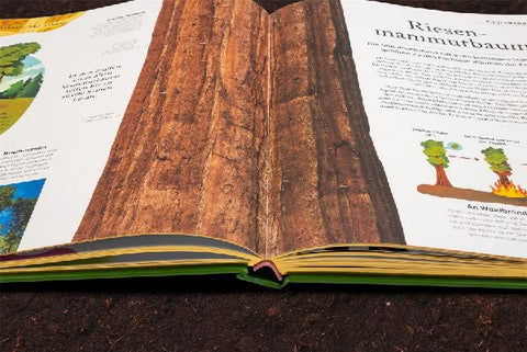 9783831046959 - Sample content