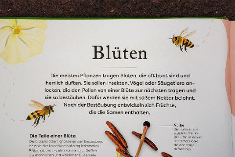 9783831046959 - Sample content