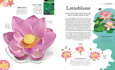 9783831046959 - Sample content