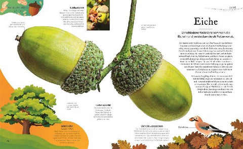 9783831046959 - Sample content