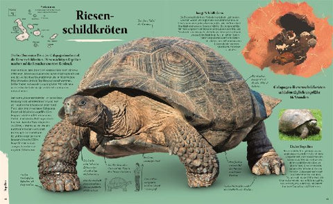 9783831047147 - Sample content