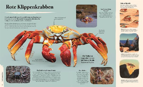 9783831047147 - Sample content