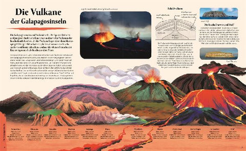 9783831047147 - Sample content