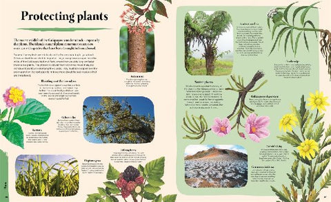 9783831047147 - Sample content