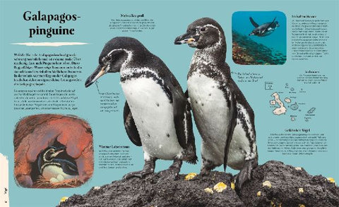 9783831047147 - Sample content