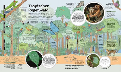 9783831047185 - Sample content