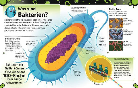 9783831047192 - Sample content