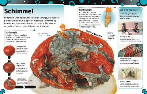 9783831047192 - Sample content