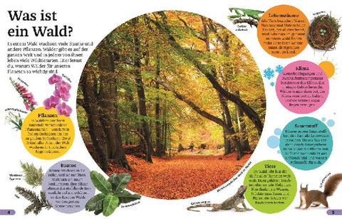 9783831047321 - Sample content