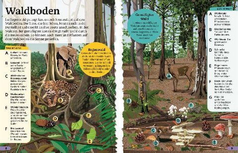 9783831047321 - Sample content