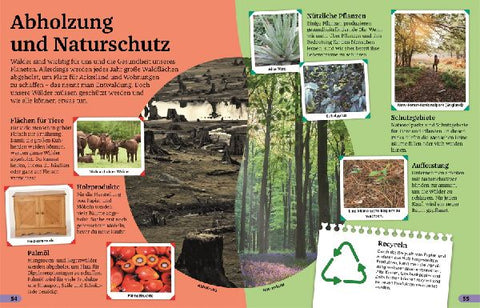 9783831047321 - Sample content