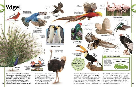 9783831047369 - Sample content