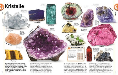 9783831047369 - Sample content