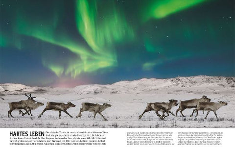 9783831047369 - Sample content