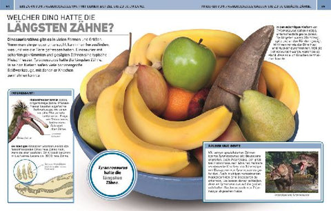 9783831047390 - Sample content