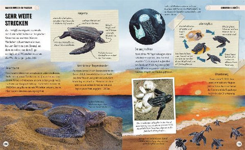 9783831047468 - Sample content