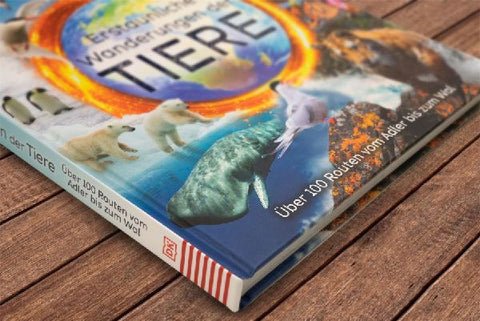 9783831047468 - Sample content