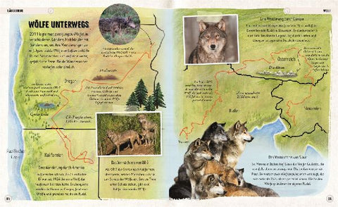 9783831047468 - Sample content