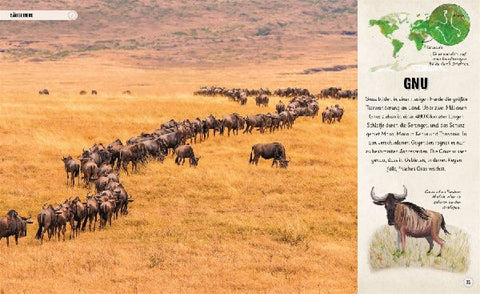 9783831047468 - Sample content