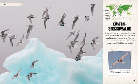 9783831047468 - Sample content