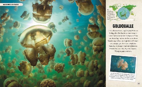 9783831047468 - Sample content