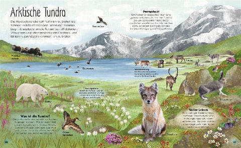 9783831047536 - Sample content