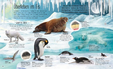 9783831047536 - Sample content